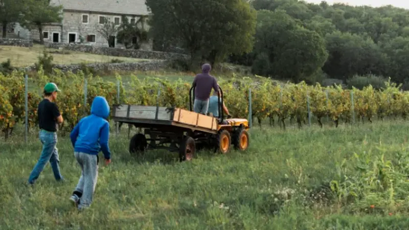 Thistlewood Farms and Its Growing Community